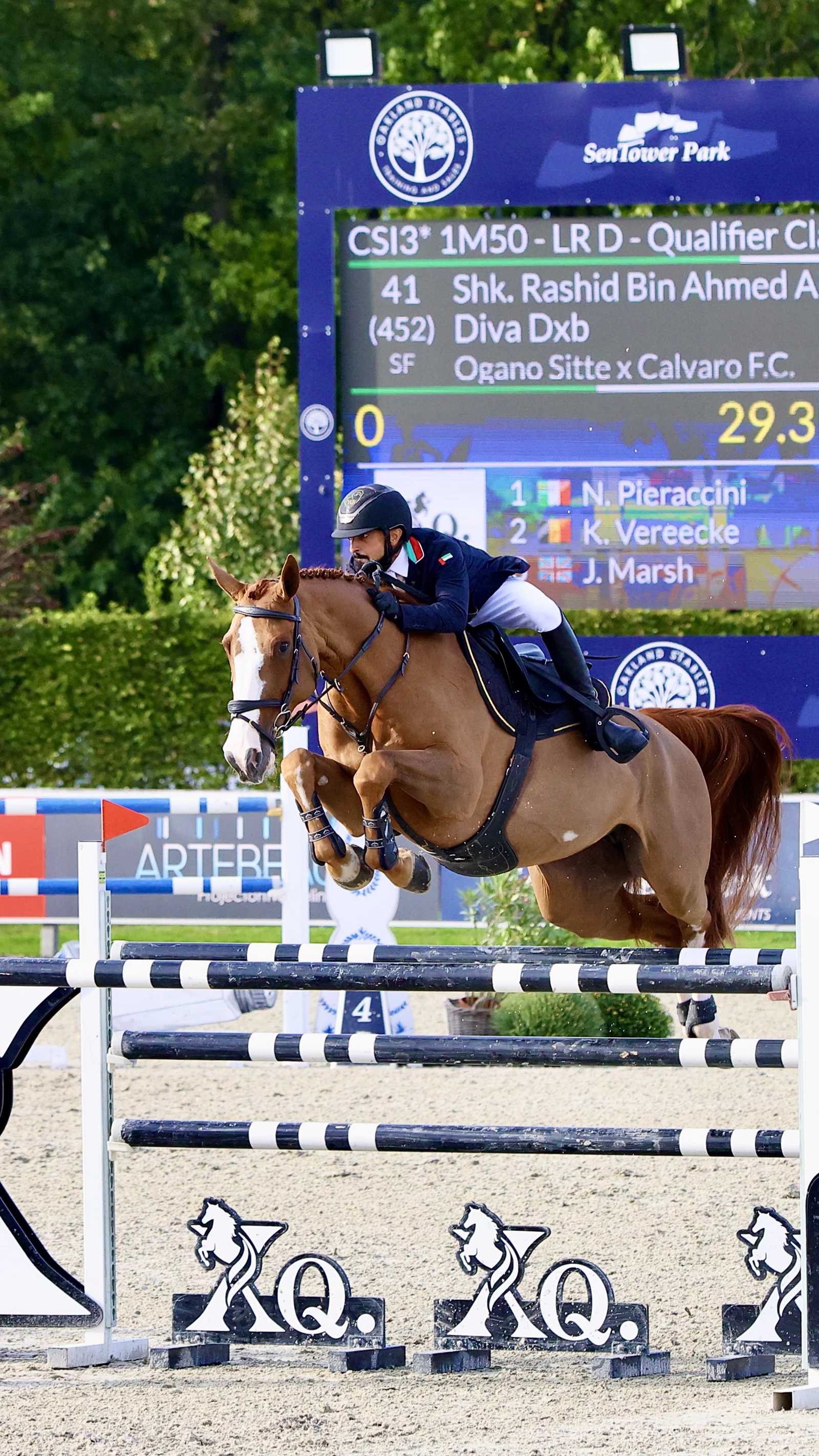 Shk. Rashid bin Ahmed Al Maktoum e Diva DXB competindo em Opglabbeek